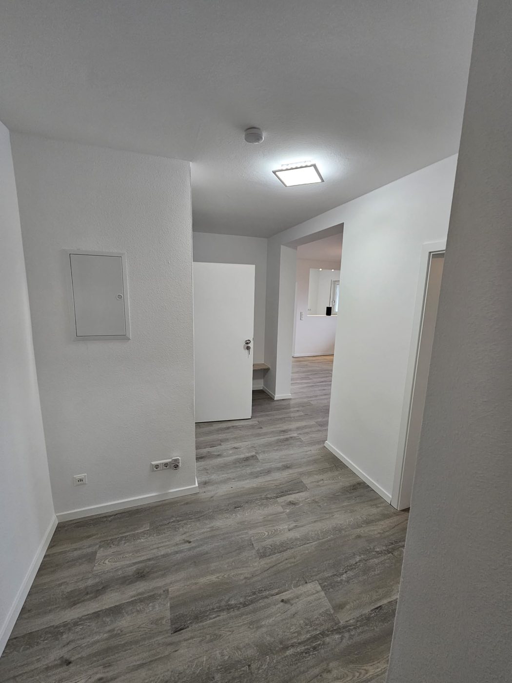 Vinylboden verlegen Flur Mannheim – neuer Vinyl-Designboden im angrenzenden Flur der Wohnung